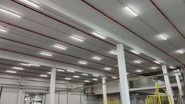 Prachotěsná LED svítidla (tri-proof): jak vybrat správné svítidlo IP65 pro průmysl, dílny a chladicí boxy