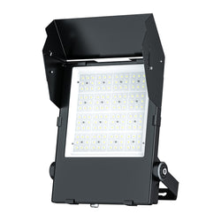 LED floodlight with adjustable angle metal visor